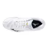 Mizuno WAVE VOLTAGE 2 indoor shoes V1GA2460-16