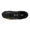 Mizuno WAVE VOLTAGE 2 indoor shoes V1GA2460-12