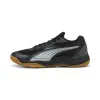 Puma Solarflash III indoor shoes 107850-06