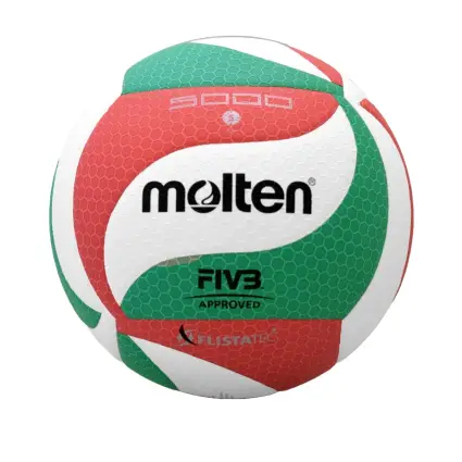 Molten V5M5000 competition volleyball