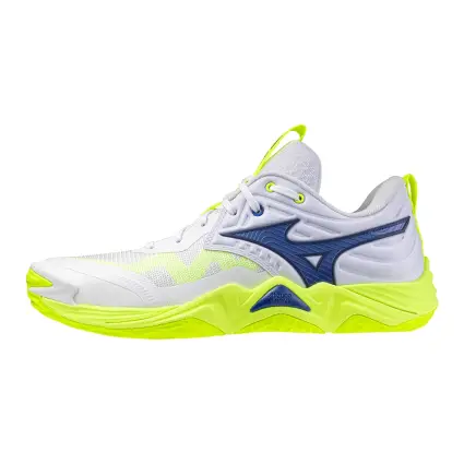 Mizuno Wave Momentum Elite indoor shoes V1GA2512-39