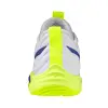 Mizuno Wave Momentum Elite indoor shoes V1GA2512-39