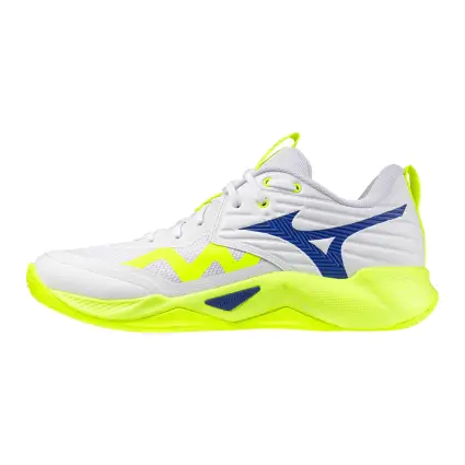 Mizuno Wave Momentum Pro indoor shoes V1GA2540-39
