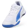 Puma Solarflash III indoor shoes 107850-07