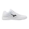 Mizuno LIGHTNING STAR Jr. детски обувки за зала V1GD2603-83