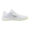 Mizuno LIGHTNING STAR Jr. детски обувки за зала V1GD2603-85