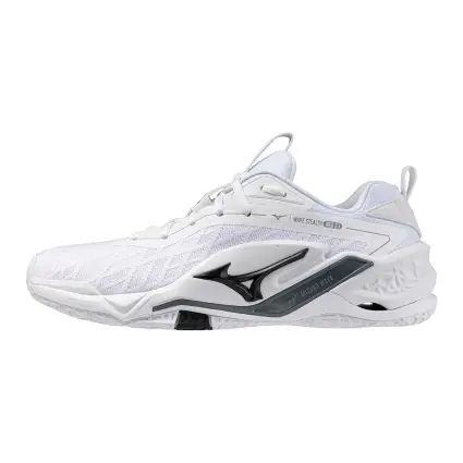 Mizuno WAVE STEALTH NEO 2.1 indoor shoes X1GA2640-83