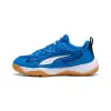 Puma Solarflash 4 junior indoor shoes 109095-01