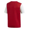 Adidas ESTRO 19 детска тениска