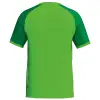 Erima WINGS Shortsleeve Jersey