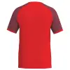 Erima WINGS Jersey Shortsleeve тениска