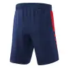 Erima Six Wings Worker Shorts