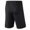 Erima TRAINING SHORTS