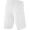 Erima RIO 2.0 Shorts with inner slip