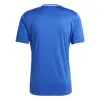 Adidas Campeon 25 Match jersey