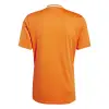 Adidas Campeon 25 Match jersey