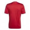 Adidas Campeon 25 Match тениска