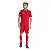 Adidas Campeon 25 Match тениска