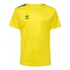hummel HMLAUTHENTIC PL JERSEY S/S KIDS